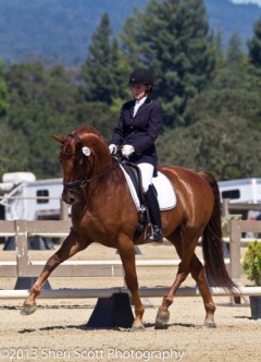 Tanya Vik FEI Dressage Trainer