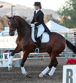 Grand Prix Dressage