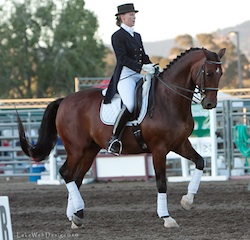 Grand Prix Dressage