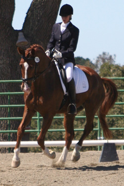 Grand Prix Dressage