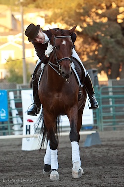 Grand Prix Dressage