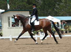 Grand Prix Dressage